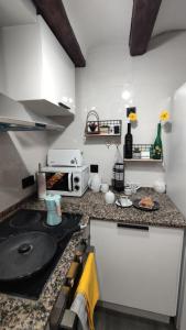 Kuchyň nebo kuchyňský kout v ubytování Apartament Picasso