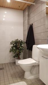 uma casa de banho com WC e uma planta em Hyvän unen huoneisto em Rovaniemi