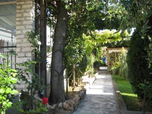 a garden with a tree and a stone walkway at B&B Nonna Gina in Bardolino