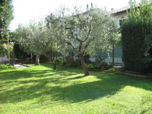 Gallery image of CASA GINEV Room & Apartments in Bardolino