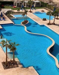 an infinity pool with palm trees in a resort at Lovely studio Al-Dau Heights in Hurghada