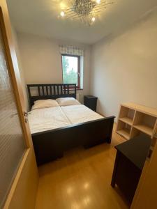 1 dormitorio con 1 cama grande en una habitación en KVARTYRA 11 DE-LUX, en Jesenice