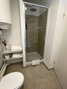 a bathroom with a shower and a toilet in it at appartement cosy et lumineux in Orly