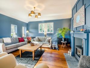 a living room with blue walls and a fireplace at Barleycombe in Loxton