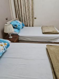 two twin beds in a room with a lamp at Hello Pyramids inn in Cairo