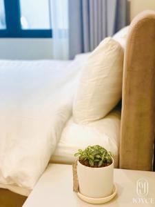 a potted plant sitting on a table in front of a bed at Joyce Boutique Coffee & Stay in Da Lat