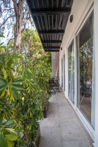 a porch of a house with large windows and plants at Bright & sweet unit in the heart of Polanco. in Mexico City