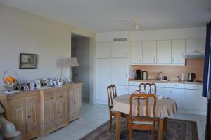 Kuchyň nebo kuchyňský kout v ubytování Lindehof Serviced Flats + 13 fotografií