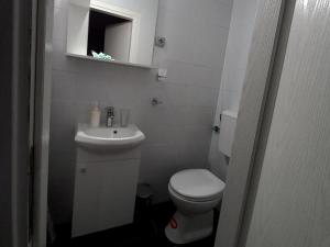 La petite salle de bains est pourvue de toilettes et d'un lavabo. dans l'établissement Apartments and rooms with parking space Murter - 20782, à Murter