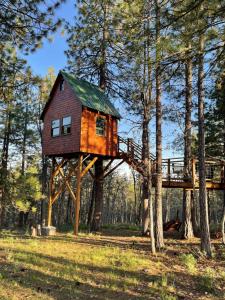 a tree house in the middle of a forest at Treehouse Ranch in Goldendale