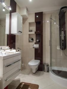 y baño con aseo y ducha. en Apartament Familijny Tatrzański en Zakopane