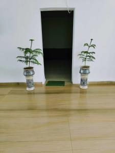 three plants in vases sitting on a wooden floor at OYO RU Hotel And Banquet Hall in Rewāri