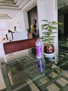 a bottle of water and a plant on a glass table at OYO RU Hotel And Banquet Hall in Rewāri