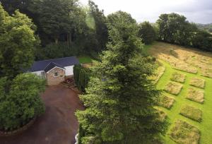 an overhead view of a house with a large tree at Nos Da in Pencoed