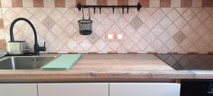 a kitchen with a sink and a counter top at Apartments Nediljka in Grebaštica +82 photos
