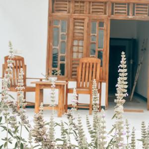 a room with two chairs and some white plants at Salty Alchemy in Arugam Bay