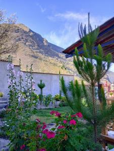 a garden with flowers and a mountain in the background at La Finca Tarma in Tarma