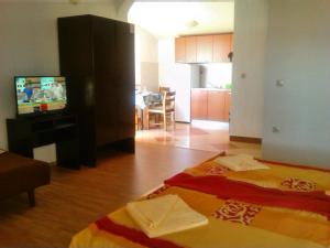 Televízia a/alebo spoločenská miestnosť v ubytovaní Apartments Cajic