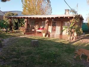 a dog walking in front of a house at Casa de campo in Rodeo del Medio