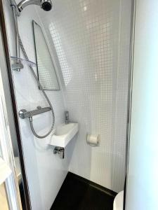 a small bathroom with a sink and a shower at Armadilla 2 at Lee Wick Farm Cottages & Glamping in Clacton-on-Sea