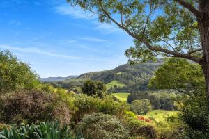 a view of a valley with trees and hills at Watta Cottage in Wattamolla +7 photos