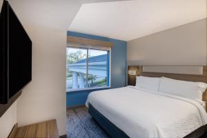 a hotel room with a bed and a window at Holiday Inn Express and Suites Tampa I-75 at Bruce B. Downs by IHG in Tampa +96 photos