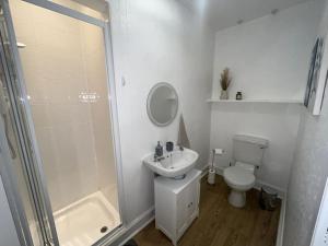 a bathroom with a shower and a sink and a toilet at The Leith Walk Flat (just off) in Edinburgh