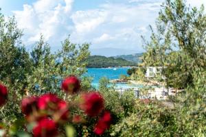 a view of a body of water with red flowers at Xhorxhi villa in Ksamil