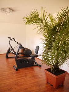 Fitness centrum a/nebo fitness zařízení v ubytování Hotel & Restaurant Lindengarten