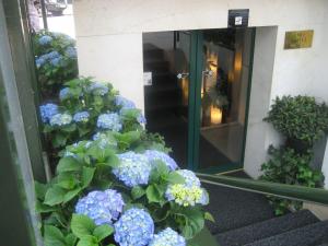 a bunch of blue flowers in front of a building at Owl Hotel in Amsterdam