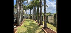 a row of palm trees in a yard at Inverloch Motel in Inverloch