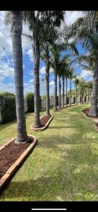 a row of palm trees in a park at Inverloch Motel in Inverloch