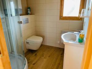 a small bathroom with a toilet and a sink at Ubytovani U lišáka FOXE in Bulhary