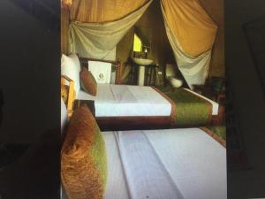 2 camas en un dormitorio con cortinas en Forest Lodge Eco Camp, en Mahagama