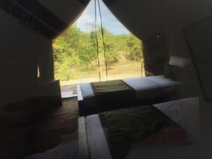 2 camas en una habitación con ventana grande en Forest Lodge Eco Camp, en Mahagama