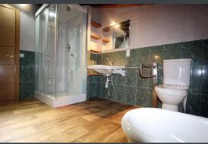een badkamer met een toilet, een wastafel en een douche bij Casa rural ignaciano Landetxea in Bujanda