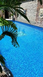 a blue swimming pool with a palm tree in the foreground at Aleppo Hotel in Yerevan
