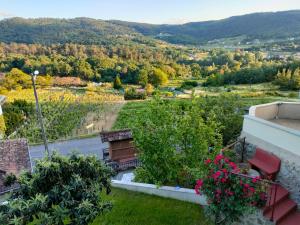 a view of a vineyard from a house at CASA JS in Ourense
