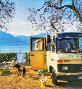 a dog standing next to a camper with a dog at Camping Baldo in Brenzone sul Garda
