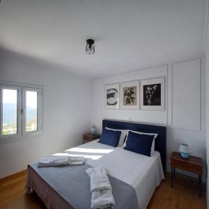 Áyios Pétros的住宿－Philoxenia Home，一间卧室设有两张床和两个窗户。