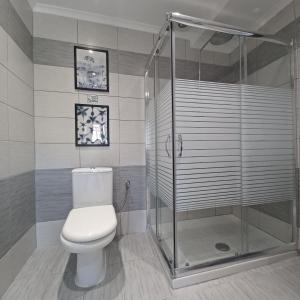 a bathroom with a toilet and a shower at Philoxenia Home in Áyios Pétros +19 photos
