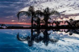 um reflexo de palmeira na água com um pôr-do-sol em Cavo Zoe Seaside Hotel em Protaras