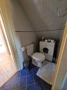 A bathroom at Balatoncsicsó - Szőlő Birtok