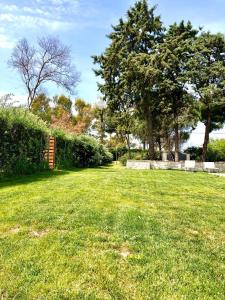 a field of grass with trees in the background at Villa Costanza in Bari +125 photos