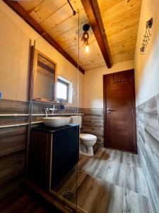 une salle de bain avec un lavabo et des toilettes dans l'établissement Etno Idila D&D, à Žabljak 29 autres photos