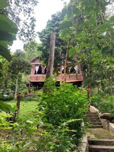 a house in the middle of a forest at Happy Ria Homestay & Guesthouse in Bukit Lawang