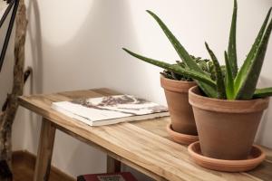 Fotografie z fotogalerie ubytování Precioso ático con terraza y vistas a Silgar. v destinaci Sanxenxo + 21 fotografií
