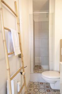 a bathroom with a toilet and a shower at Le Petit Vauban in Strasbourg