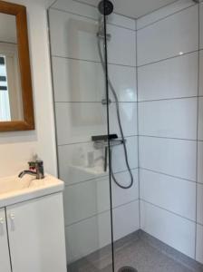 um chuveiro com uma porta de vidro ao lado de um lavatório em Unik ferielejlighed i Marstal. em Marstal