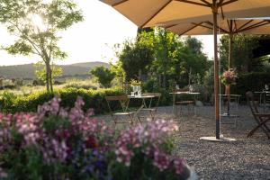Campagnatico的住宿－Locanda Fontelupa，一个带桌椅、遮阳伞和鲜花的庭院